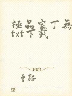 极品家丁无删减txt下载