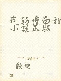我的傻白甜老婆小说正版