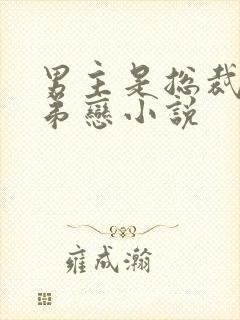 男主是总裁的姐弟恋小说