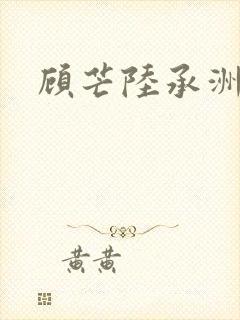顾芒陆承洲