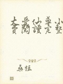 大爱仙尊小说免费阅读完整版封面
