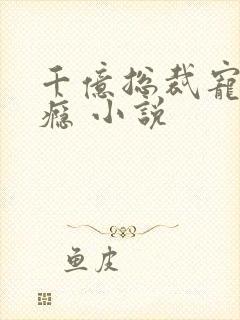 千亿总裁宠妻成瘾 小说