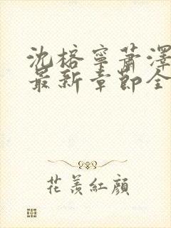 沈榕宁萧泽小说最新章节全文阅读