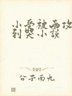 小受被两攻双龙到哭小说