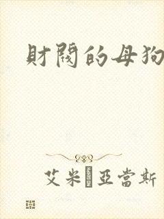 财阀的母狗们