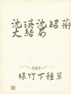沈瑛沈昭蘅后续大结局