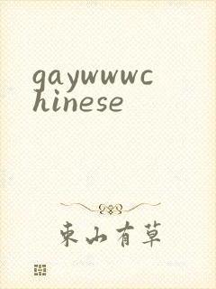 gaywwwchinese封面