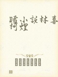 赌小说林喜朝和柯煜