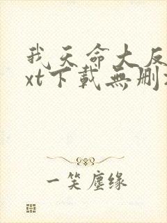 我天命大反派txt下载无删减