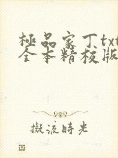 极品家丁txt全本精校版