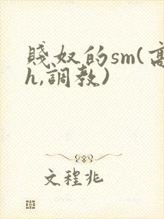 贱奴的sm(高h,调教)