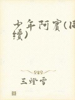 少年阿宾(同人续)