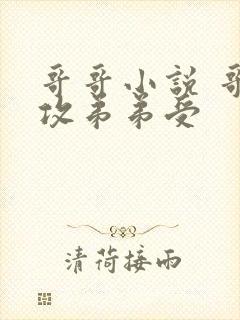 哥哥小说 哥哥攻弟弟受