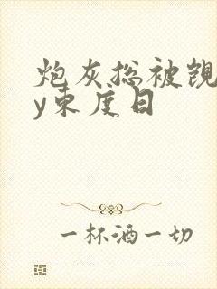 炮灰总被觊觎by东度日