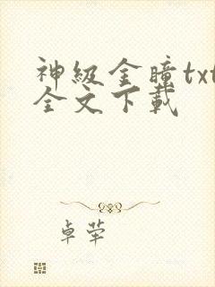 神级金瞳txt全文下载