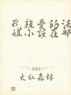 我亲爱的法医小姐小说在哪看