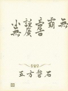 小说帝霸无弹窗无广告