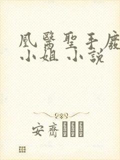 凰医圣手废材九小姐 小说
