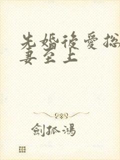 先婚后爱总裁宠妻至上封面