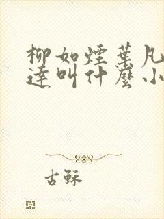 柳如烟叶凡季博达叫什么小说