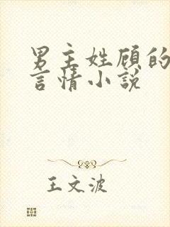 男主姓顾的现代言情小说