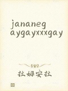 jananegaygayxxxgay封面