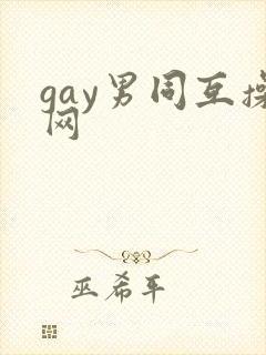 gay男同互操网