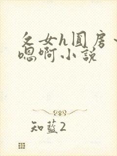 攵女h圆房～h嗯啊小说