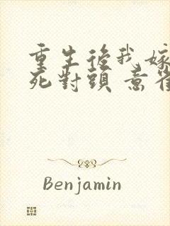 重生后我嫁给了死对头 意雀