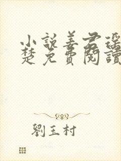 小说姜君瑶与小楚免费阅读