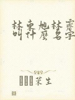 林东旭林霁小说叫什么名字