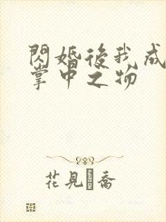 闪婚后我成大佬掌中之物
