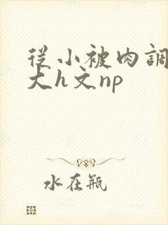 从小被肉调教到大h文np