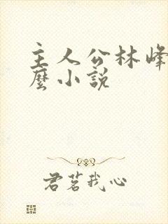 主人公林峰是什么小说