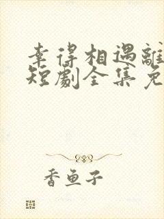 幸得相遇离婚时短剧全集免费播放