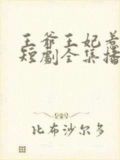 王爷王妃惹不得短剧全集播放