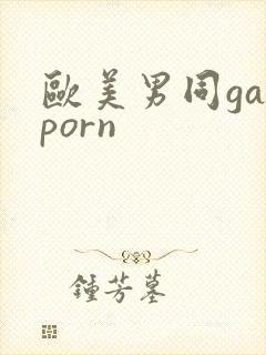 欧美男同gayporn
