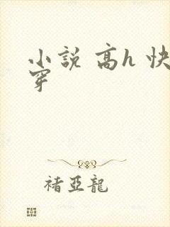 小说 高h 快穿