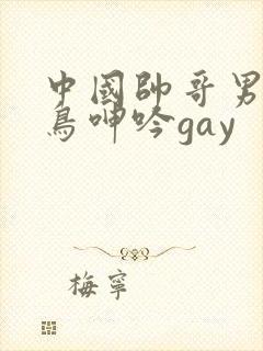 中国帅哥男同大鸟呻吟gay
