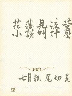 花落见流萤原著小说叫什么封面