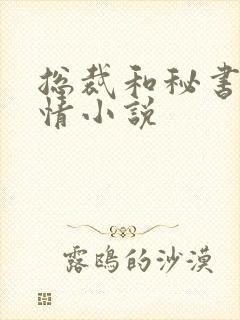 总裁和秘书的言情小说