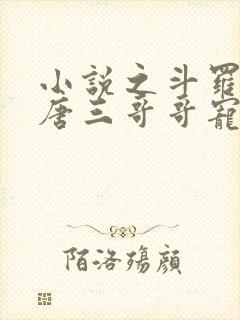 小说之斗罗:被唐三哥哥宠上天