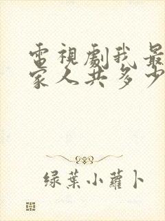 电视剧我最爱的家人共多少集