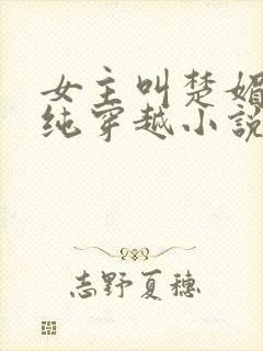 女主叫楚媚的清纯穿越小说