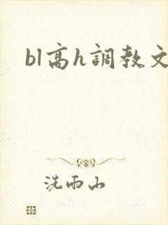 bl高h调教文