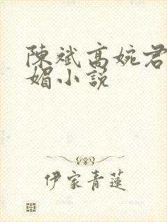 陈斌高婉君赵心媚小说封面