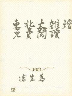 东北大杂烩小说免费阅读