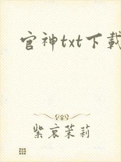 官神txt下载封面