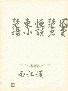 楚东恒楚国威官场小说免费阅读封面