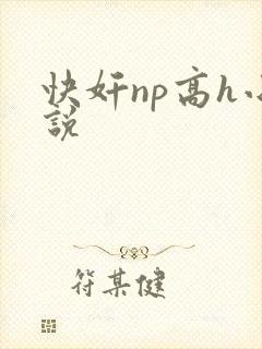 快奸np高h小说封面